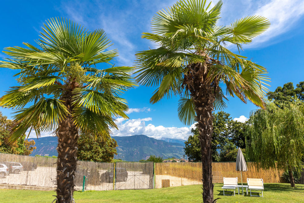 Rungghof - Eppan an der Weihnstraße - Südtirol - Hochzeitsfotograf - Onlywedding.de